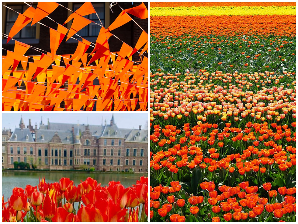 Orange flags, orange tulip fields, the iconic Binnenhof, all capturing the essence of Dutch culture and heritage on Kings Day in the Netherlands.