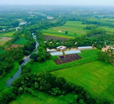 Samyak Yoga & Ayurveda Ashram