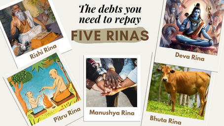 Five Rinas - The debts you need to repay
