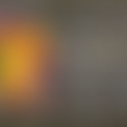 Classical Texts on Yoga