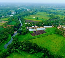 Mysore Yoga Teacher Training Institute - Samyak Yoga.webp