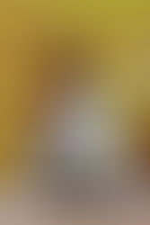 Understanding the Vedas