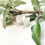Thumbnail: Heart earrings with green leaves