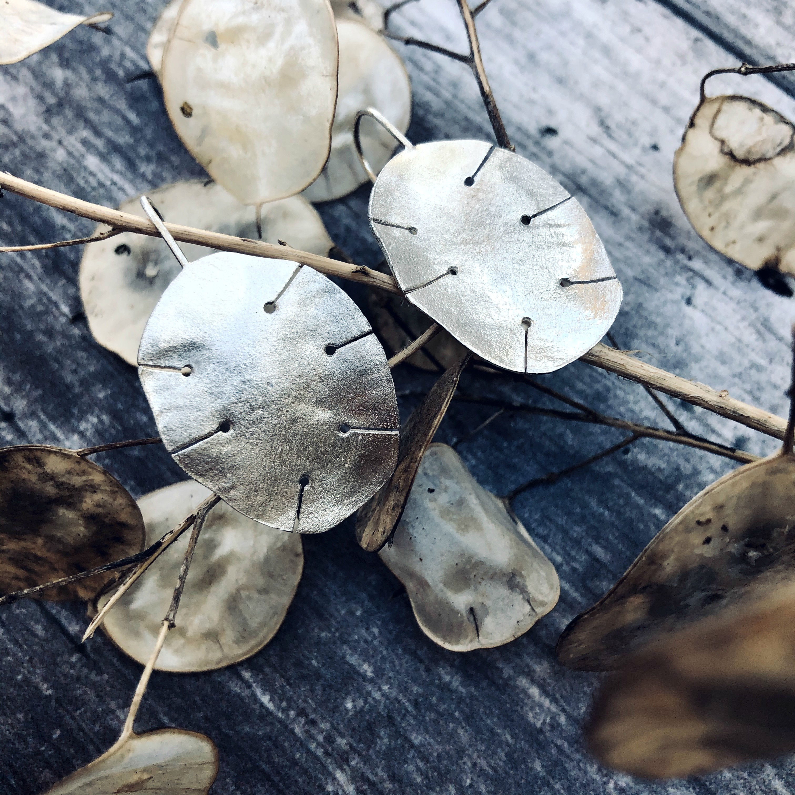 Matching set of earrings & necklace - 'Honesty' seed pods