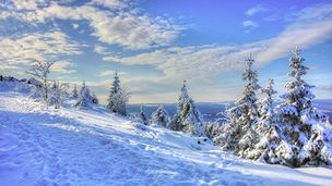 Happy Holidays - Enjoy the Top Viewed Stories from 2022 