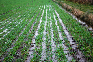 Flooding in U.S. Midwest Interrupting Processing, Rail Transport; Will Have Long-Term Effect on Ag