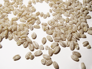 Axereal Acquires Cargill Malt Business