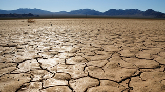 Drought Leads Australia to Import Wheat for the First Time in 12 Years