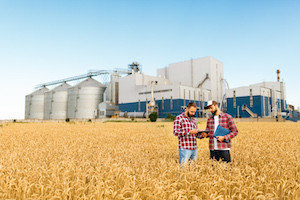 This Partnership is Developing Mobile Tech to Measure Quality of Grain