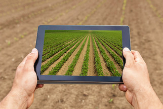 Calling All Agtech Entrepreneurs: Soy Innovation Challenge Announced by USB and the YLI