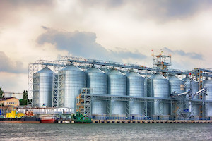 Despite COVID-19, Non-GMO Grain Market Remains Strong, But Exports Are Challenging