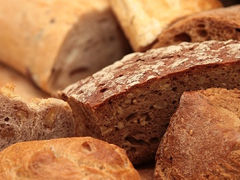 BioVeritas Closes on $65M to Advance Upcycled Bio-Based Ingredients