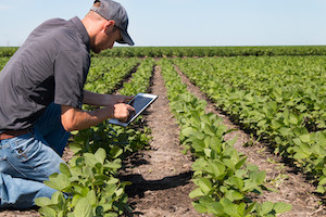 Syngenta Group Acquires Global Biologicals Leader Valagro