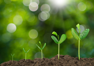 The Andersons Posts Best Q2 Results Since 2014