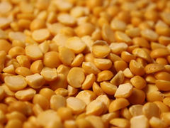 Equinom Breaks Protein Content Record in Minimally Processed Pea Protein