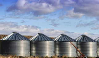 ADM Bids for Bunge; Bunge Acquires Grupo Minsa’s U.S. Corn Milling Business