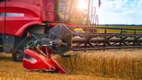 TeleSense Raises $10.2M to Digitize Global Grain Supply Chains