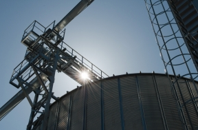Perdue to Build $30M Organic Grain Receiving and Storage Facility in Maryland