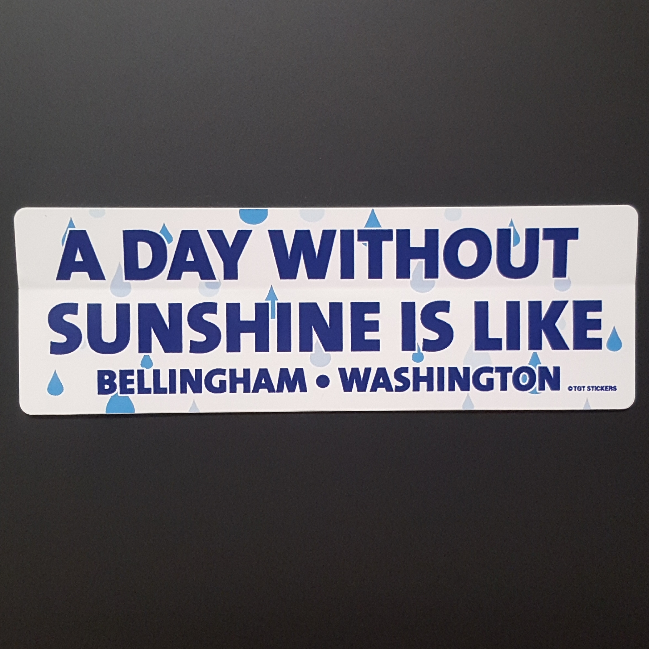 A Day Without Sunshine