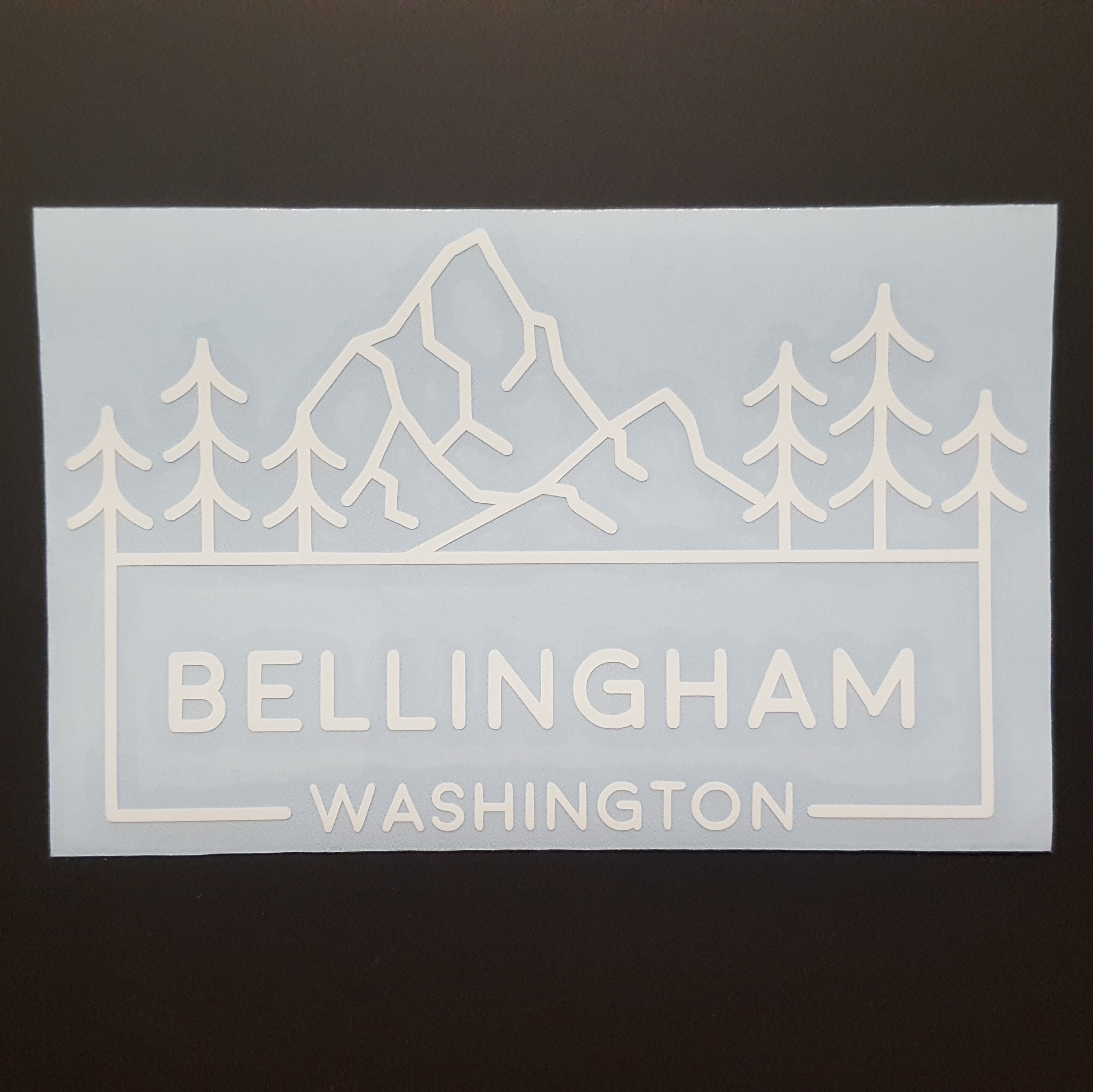 Bellingham Mountain Trees