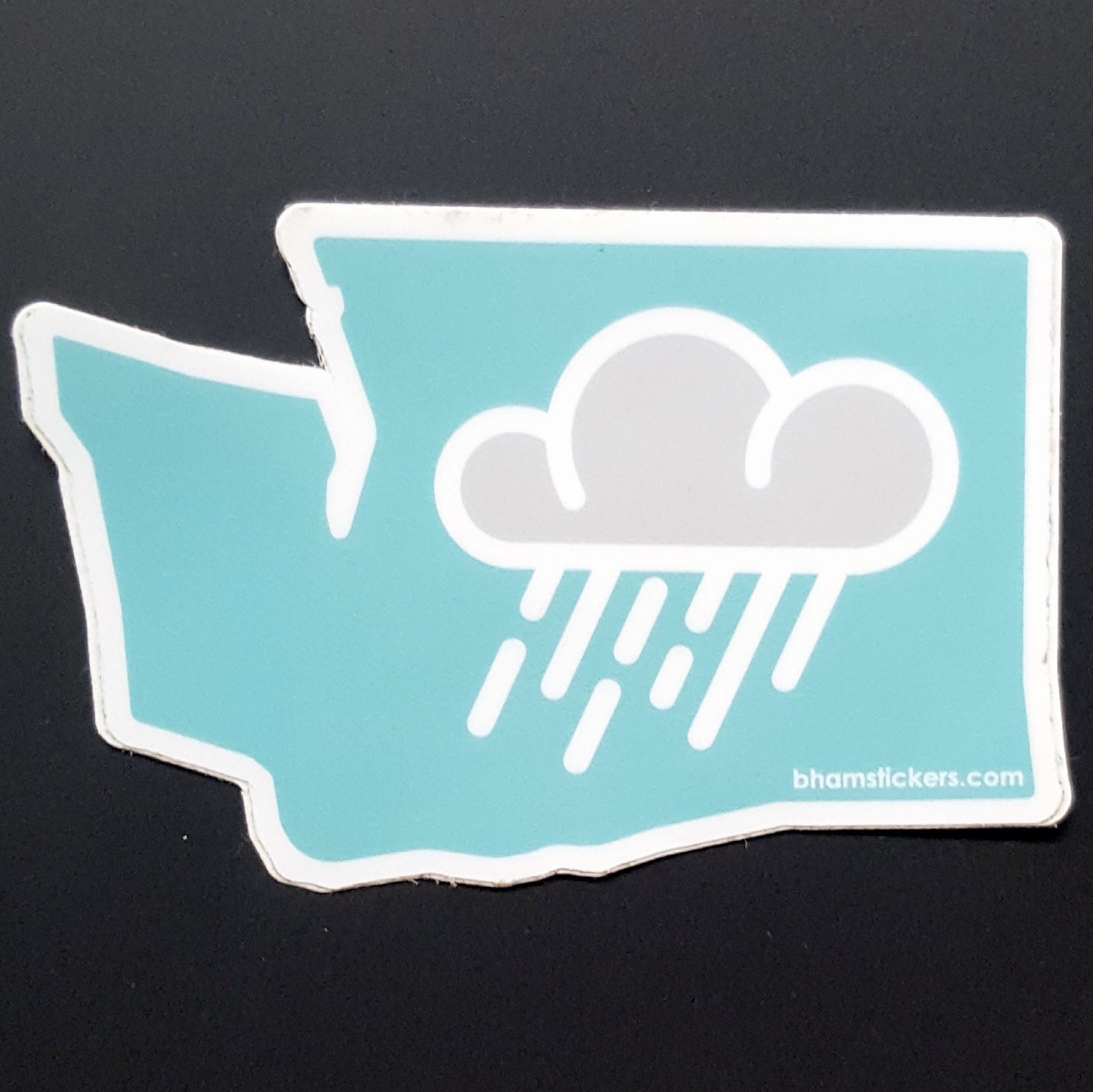 Evan Dahl Rainy State Sticker