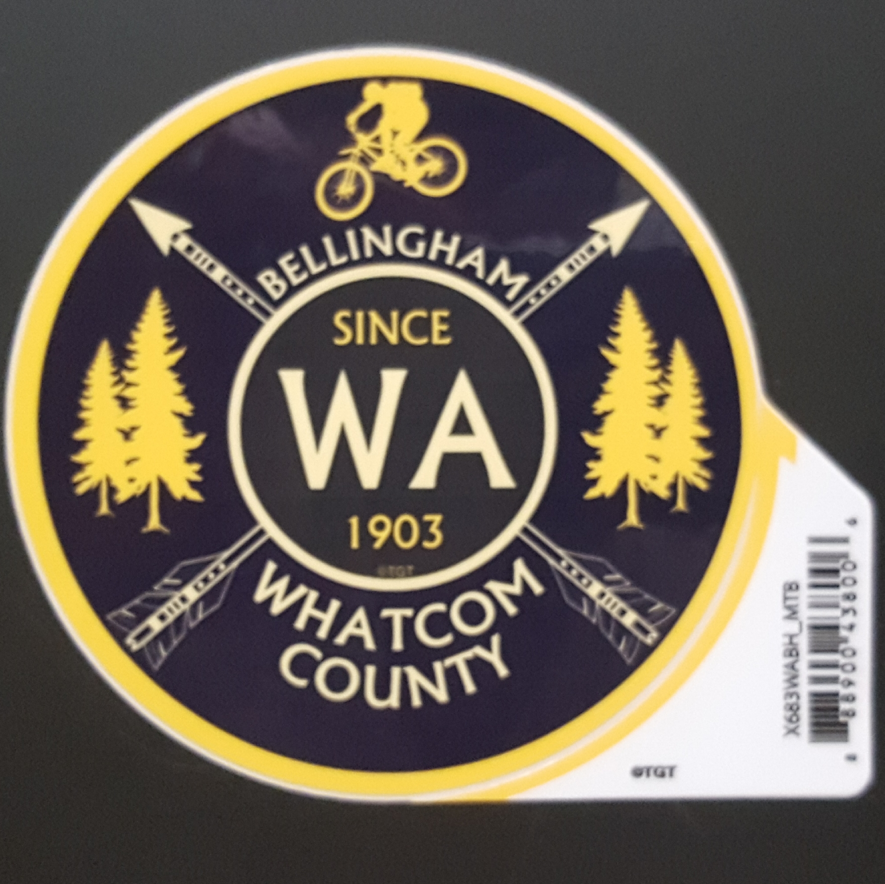Dart Circle Whatcom County