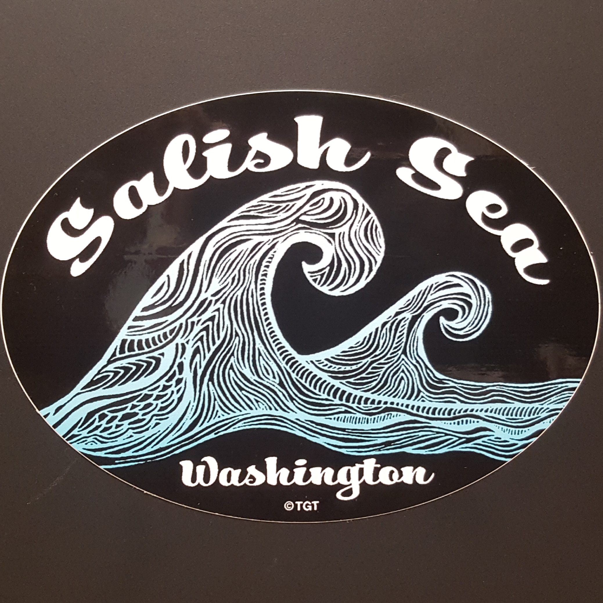 Salish Sea Wave Oval