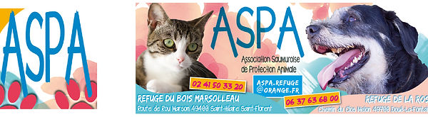 Sans titre-13.jpg