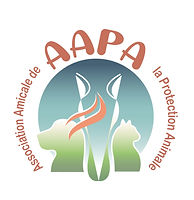 AAPA grand logo web.jpg