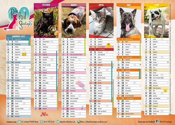 Calendrier PPS.jpg