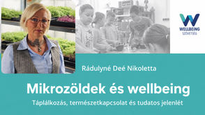 Mikrozoldek es wellbeing – tagunk szakmai gondolatai