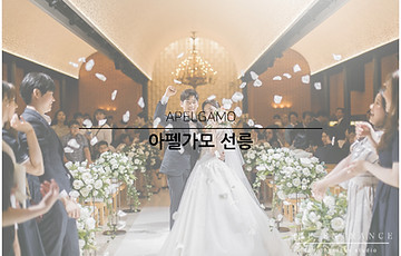 아펠가모 선릉.jpg