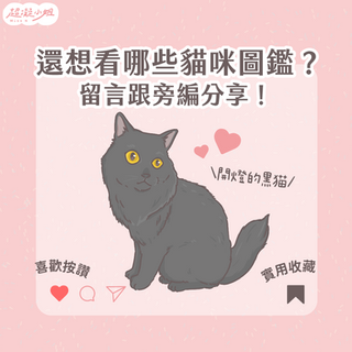 工作區域 1 複本 7.png