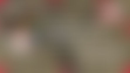 Онлайн-трансляция мастер-класса Андрея БАТУРИНА