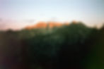 Asset0019.jpg