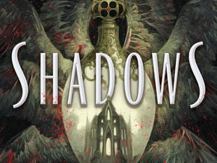 Book cover of When Shadows Burn by Vanessa Le