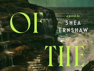 Book cover for Habits of the Sea by Shea Ernshaw