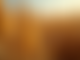 Maximize Your Harvest: Top Corn Varieties for Ukrainian Farmers