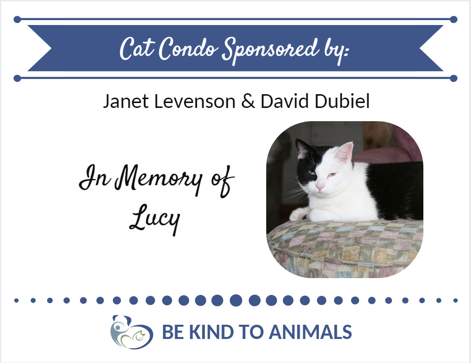 Kennel Sponsor Plaque cat Lucy.png
