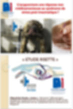 Etude risette : Acupuncture et stress post-traumatique par le Dr Tâm Nhan