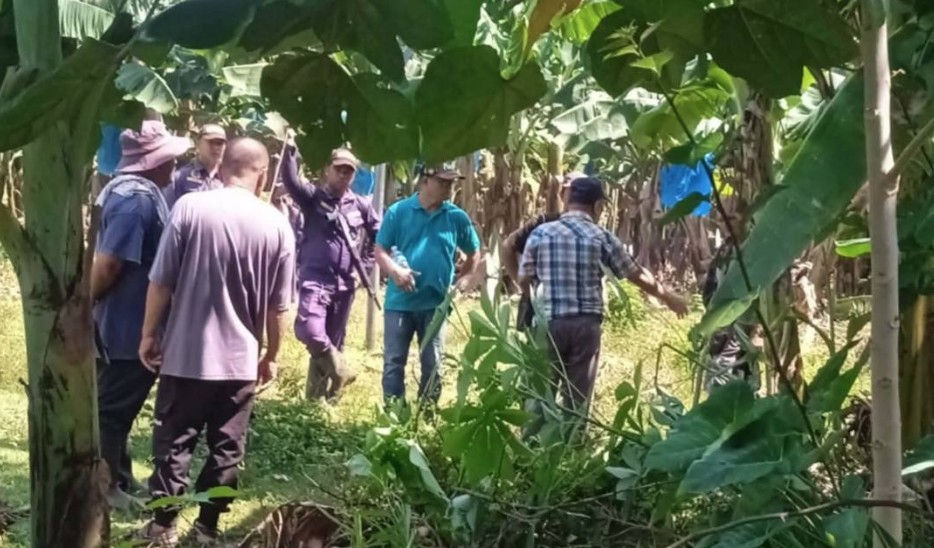 GAAVI-Kennemer, out of Sezukudang! Stand with the Menuvu in th defense of ancestral lands!