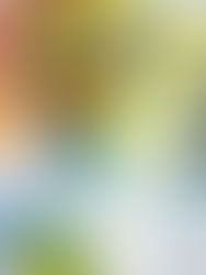 5 artworks from Clio Art Fair | NYC, May 18-21, 2023