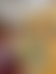 Inside the Studio: Camilla Ancilotto