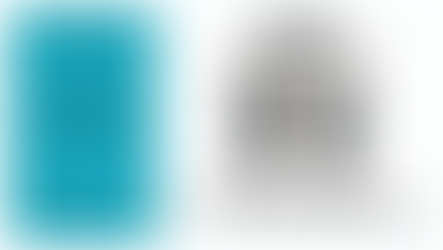 פרק 18: וולינגטון - הבירה של ניו זילנד