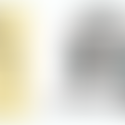 פרק 5: תכנון תקציב - כמה עולה טיול אל ניו זילנד?