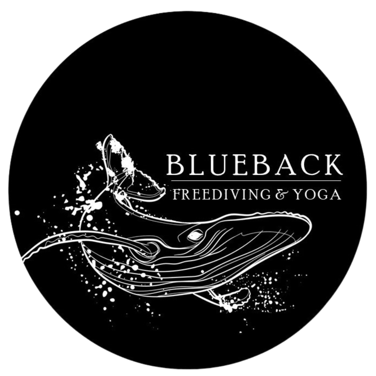 FEES Blueback Freediving
