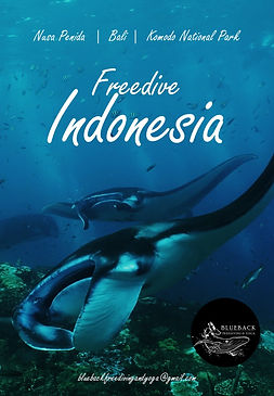 BB BALI FREEDIVE TOUR POSTER mantas jpg.jpg