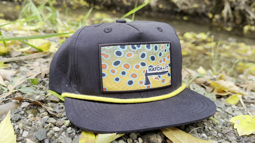 Thumbnail: Brown Trout Patch Hat