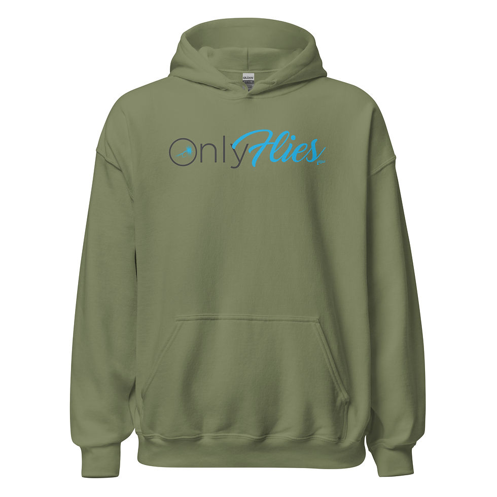 Thumbnail: Only Flies | Hoodie