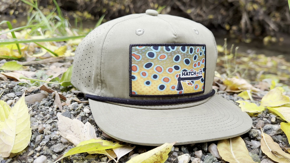 Thumbnail: Brown Trout Patch Hat